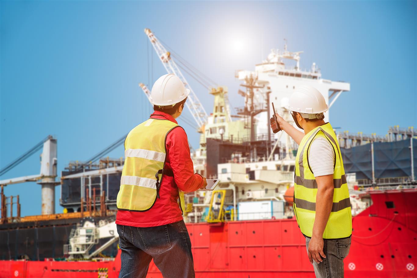 Consultants and Surveyor